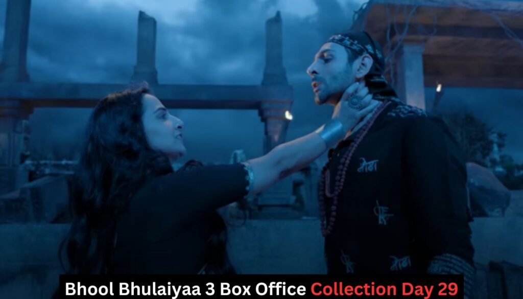 Bhool Bhulaiyaa 3 Box Office Collection Day 29