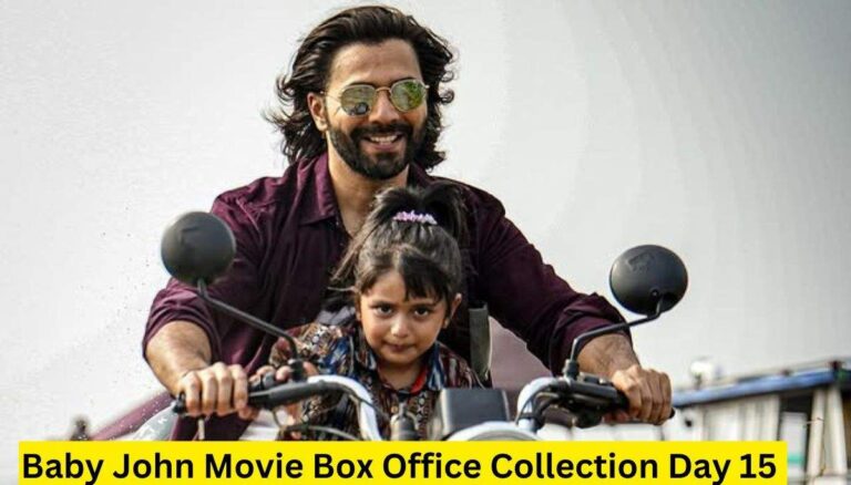 Baby John Movie Box Office Collection Day 15