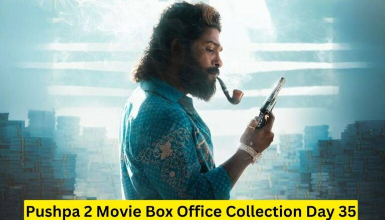 Pushpa 2 Movie Box Office Collection Day 35