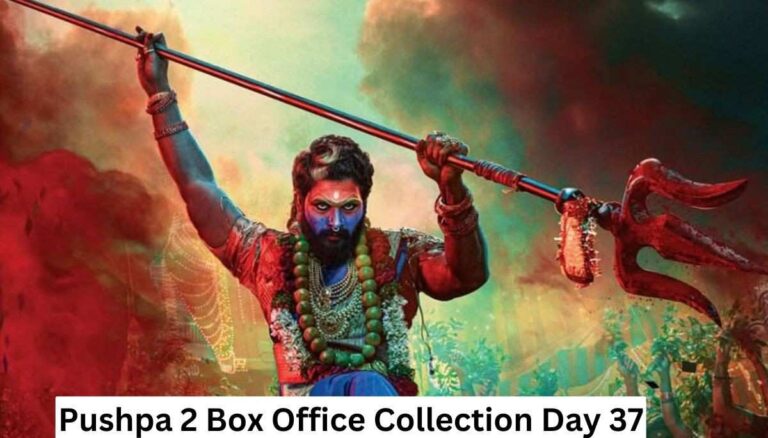 Pushpa 2 Box Office Collection Day 38