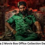 Pushpa 2 Movie Box Office Collection Day 45