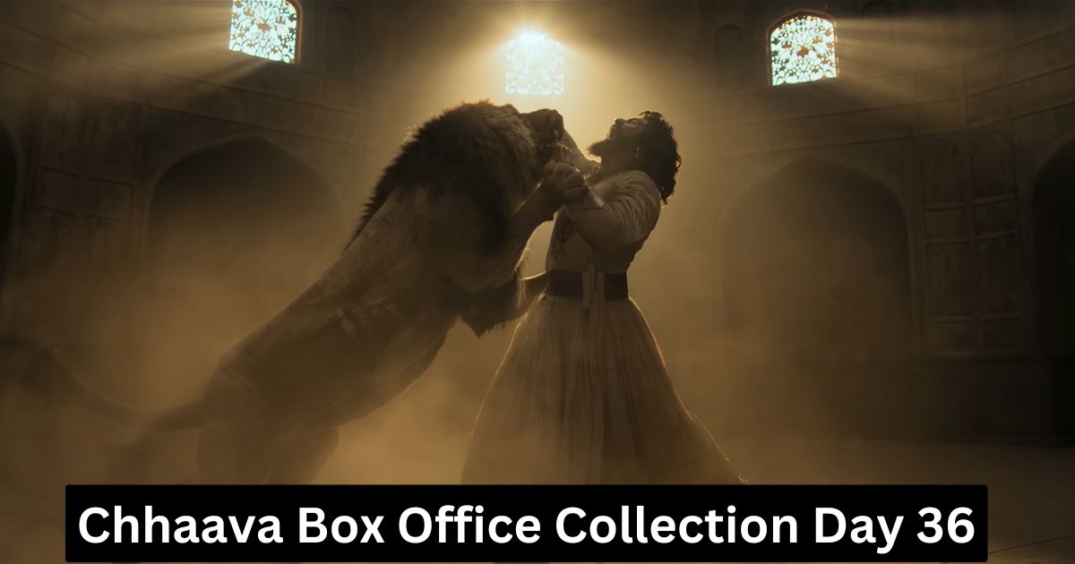 Chhaava Box Office Collection Day 36