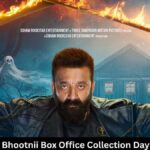 The Bhootnii Box Office Collection Day 11