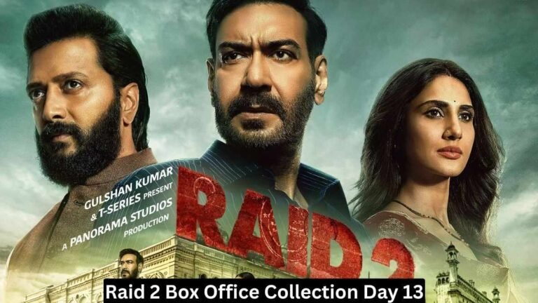 Raid 2 Box Office Collection Day 13