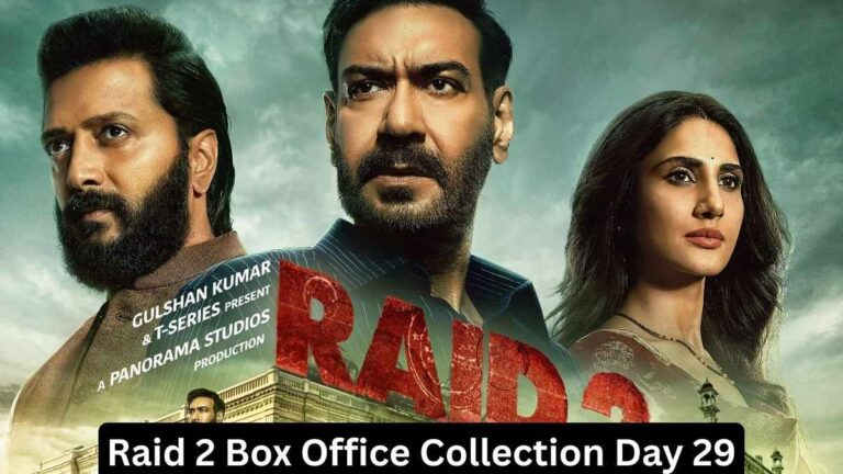 Raid 2 Box Office Collection Day 29