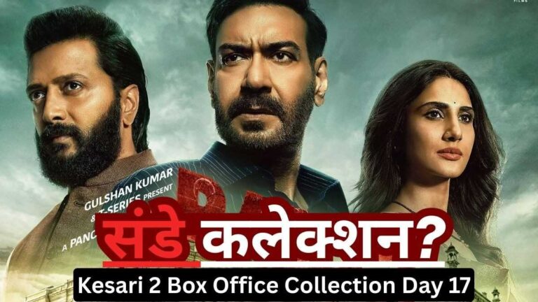 Raid 2 Box Office Collection Day 4