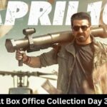Jaat Box Office Collection Day 35
