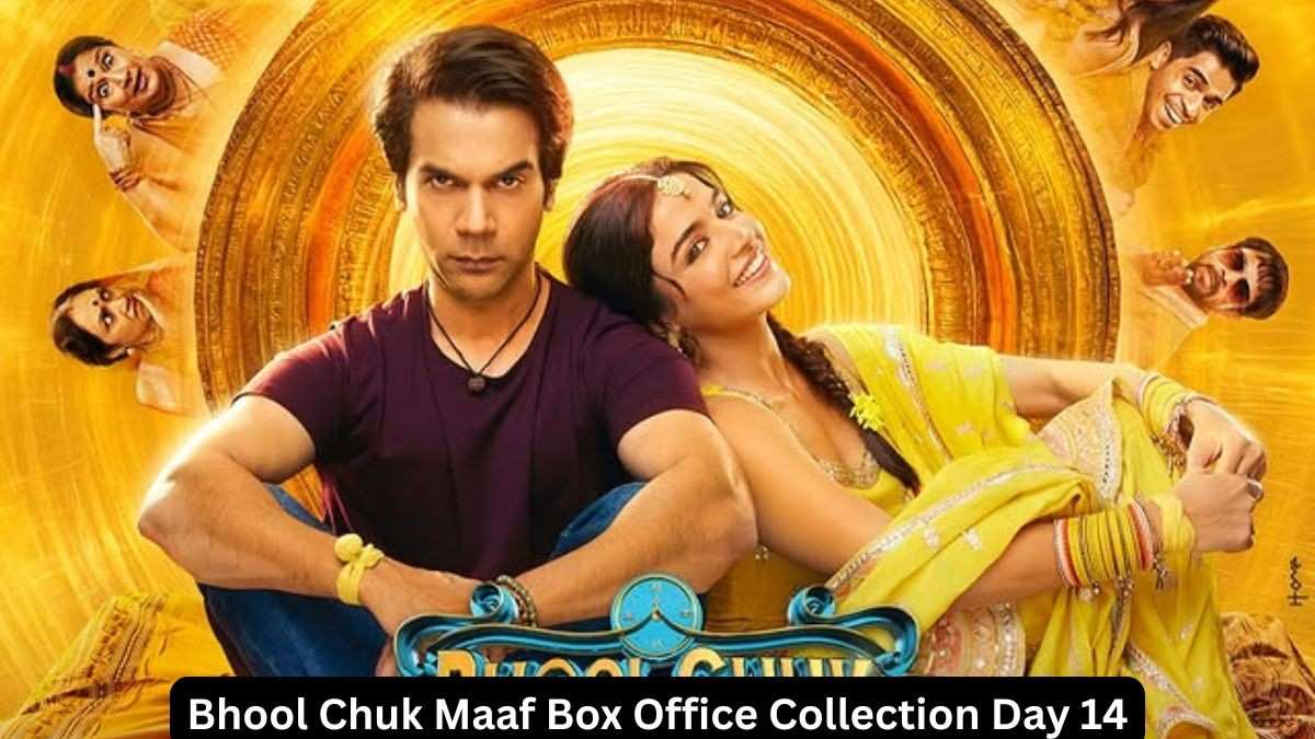 Bhool Chuk Maaf Box Office Collection Day 14