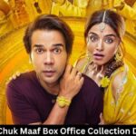 Bhool Chuk Maaf Box Office Collection Day 22