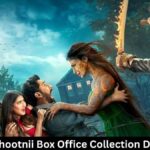 The Bhootnii Box Office Collection Day 46
