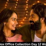 Maalik Box Office Collection Day 12