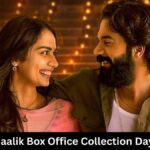 Maalik Box Office Collection Day 9