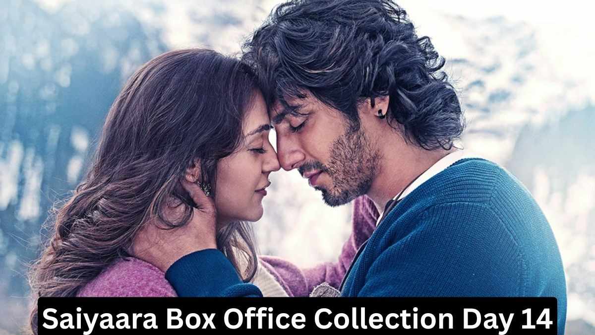 Saiyaara Box Office Collection Day 14