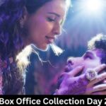Dhadak 2 Box Office Collection Day 2