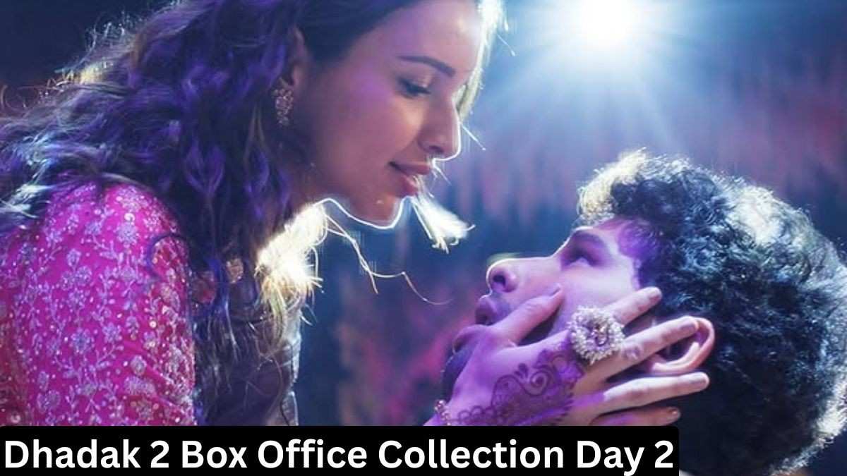 Dhadak 2 Box Office Collection Day 2