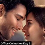 Dhadak 2 Box Office Collection Day 3