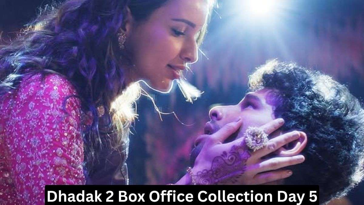 Dhadak 2 Box Office Collection Day 5