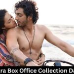 Saiyaara Box Office Collection Day 16