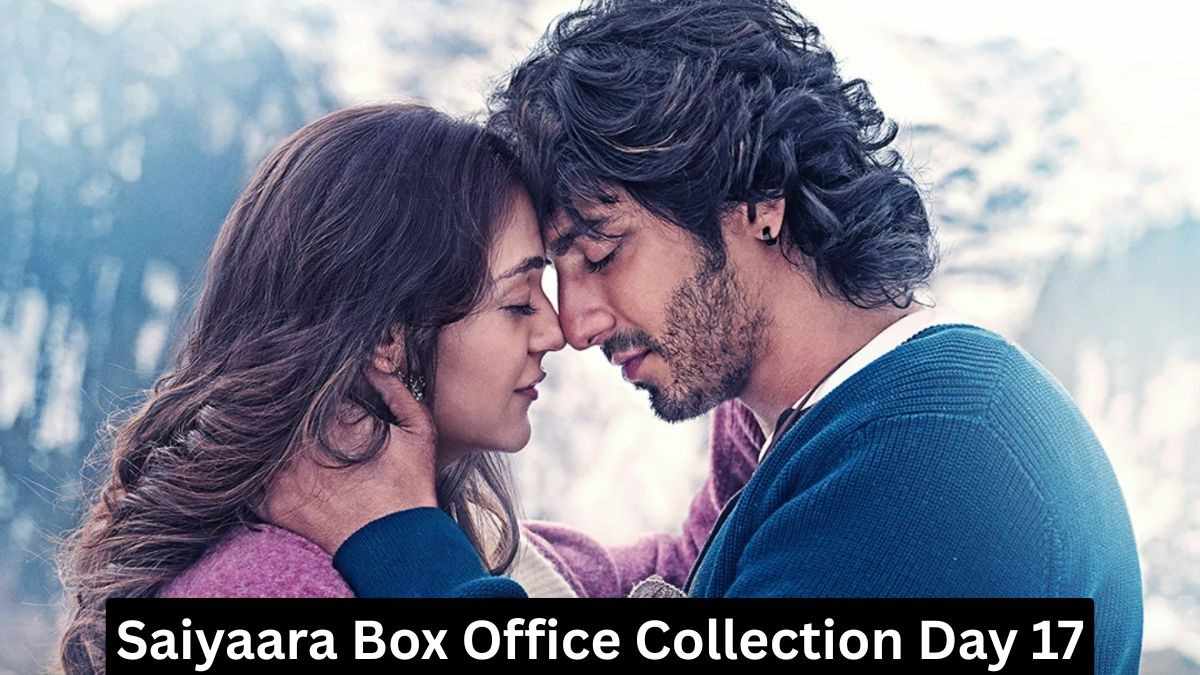 Saiyaara Box Office Collection Day 17