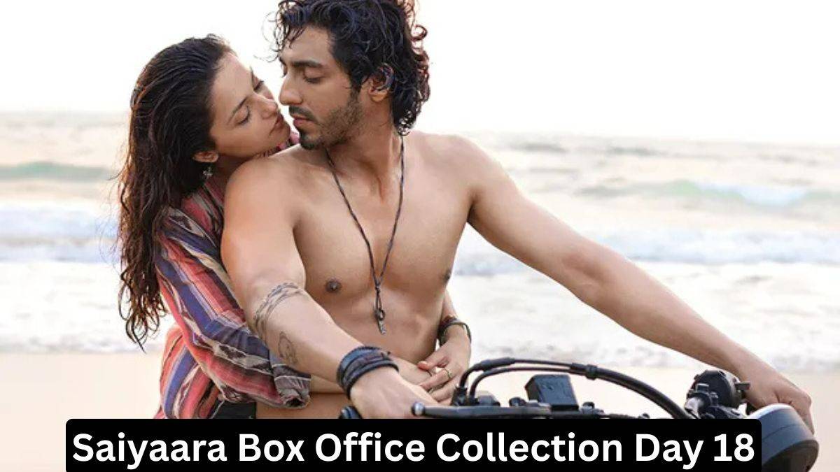 Saiyaara Box Office Collection Day 18