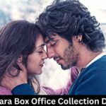 Saiyaara Box Office Collection Day 19