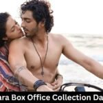 Saiyaara Box Office Collection Day 24