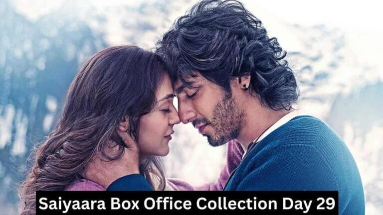 Saiyaara Box Office Collection Day 29