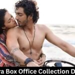Saiyaara Box Office Collection Day 31