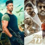 Box Office Collection