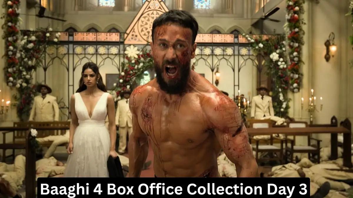 Baaghi 4 Box Office Collection Day 3