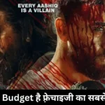 Baaghi 4 Budget