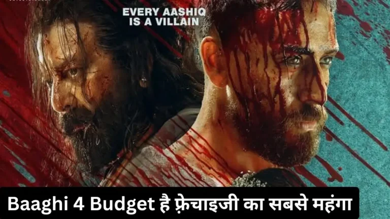Baaghi 4 Budget