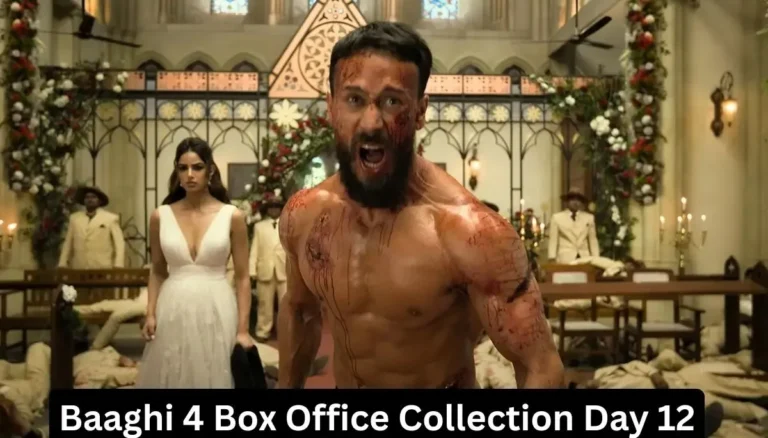 Baaghi 4 Collection Day 12