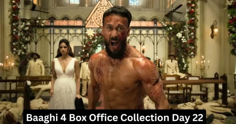 Baaghi 4 Collection Day 22