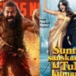 kantara Chapter 1 Box Office Collection