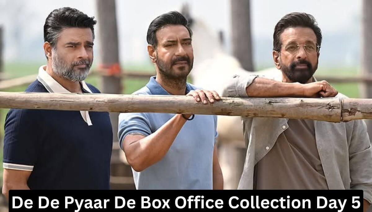 De De Pyaar De Box Office Collection Day 5