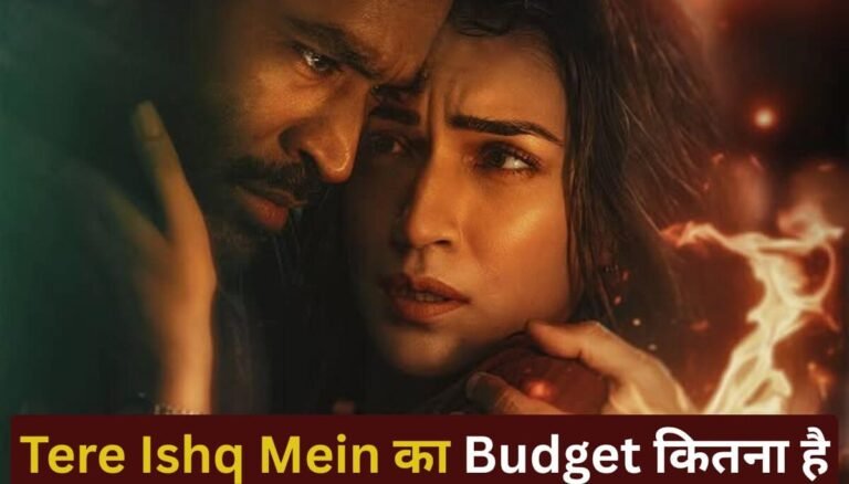Tere Ishq Mein Budget