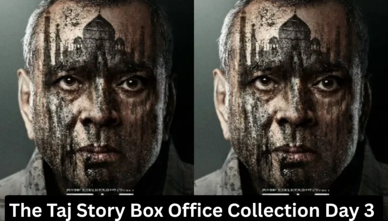 The Taj Story Box Office Collection Day 3