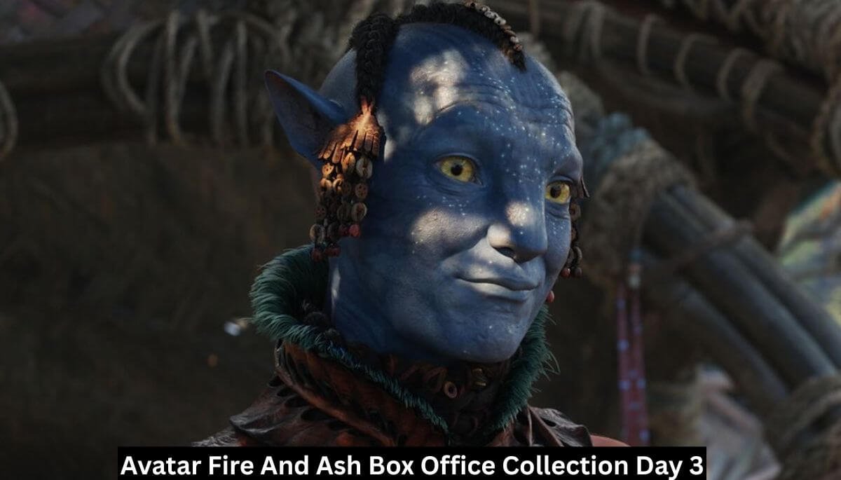 Avatar Fire And Ash Box Office Collection Day 3