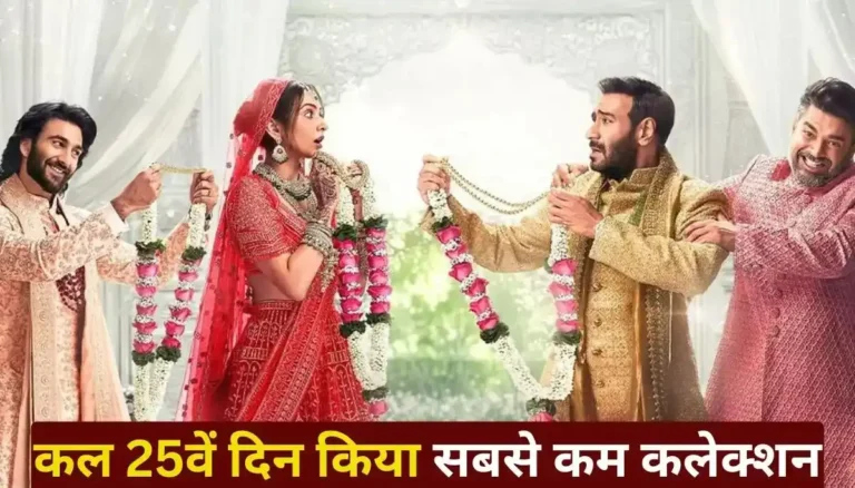 De De Pyaar De 2 Box Office Collection Day 25