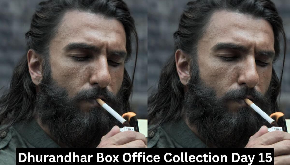 Dhurandhar Box Office Collection Day 15