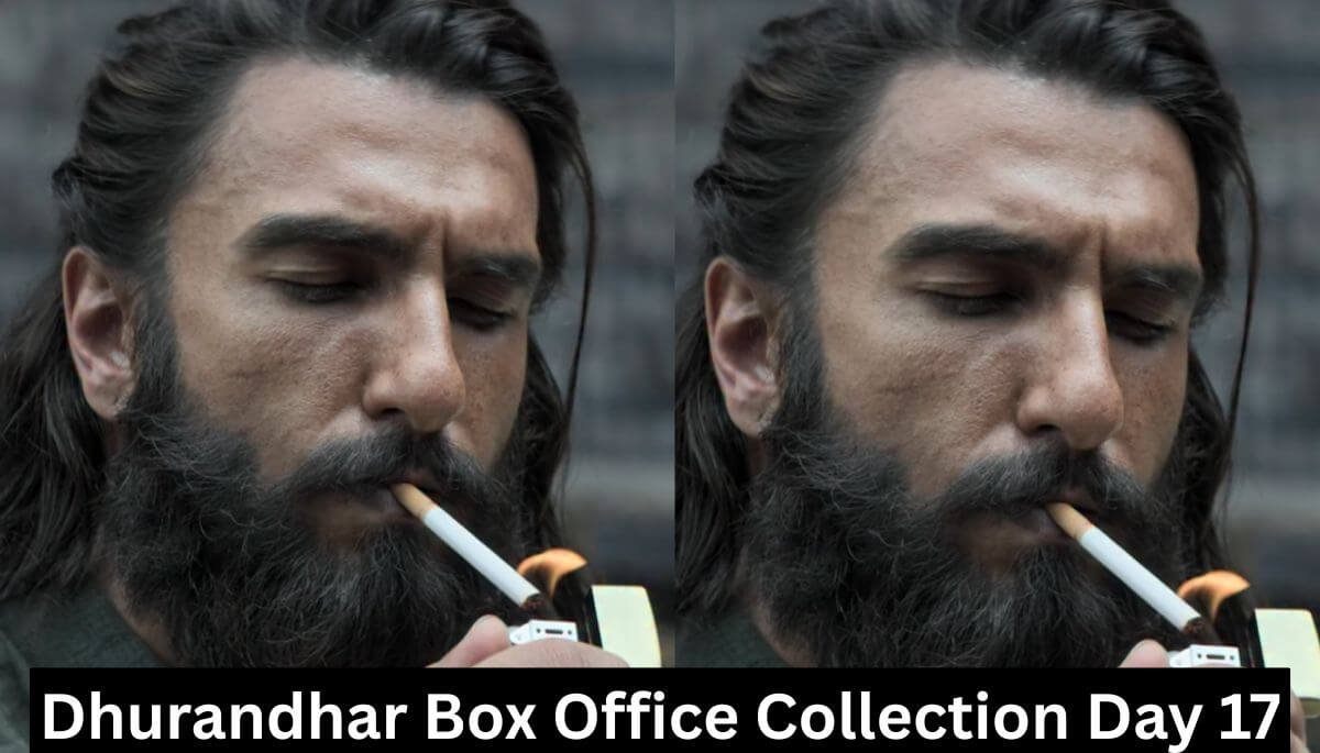 Dhurandhar Box Office Collection Day 17