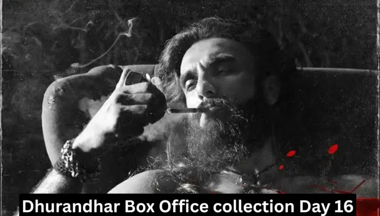 Dhurandhar Box Office collection Day 16