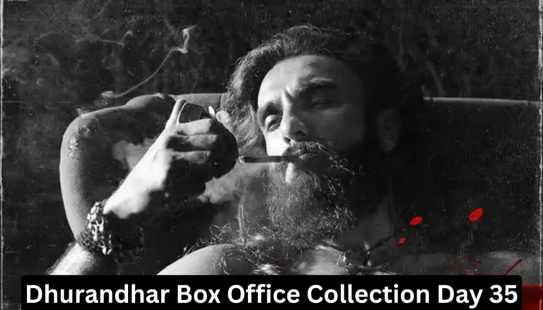 Dhurandhar Box Office Collection Day 35