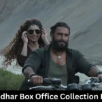 Dhurandhar Box Office Collection Day 49
