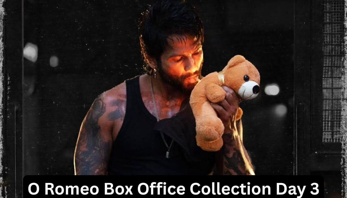 O Romeo Box Office Collection Day 3